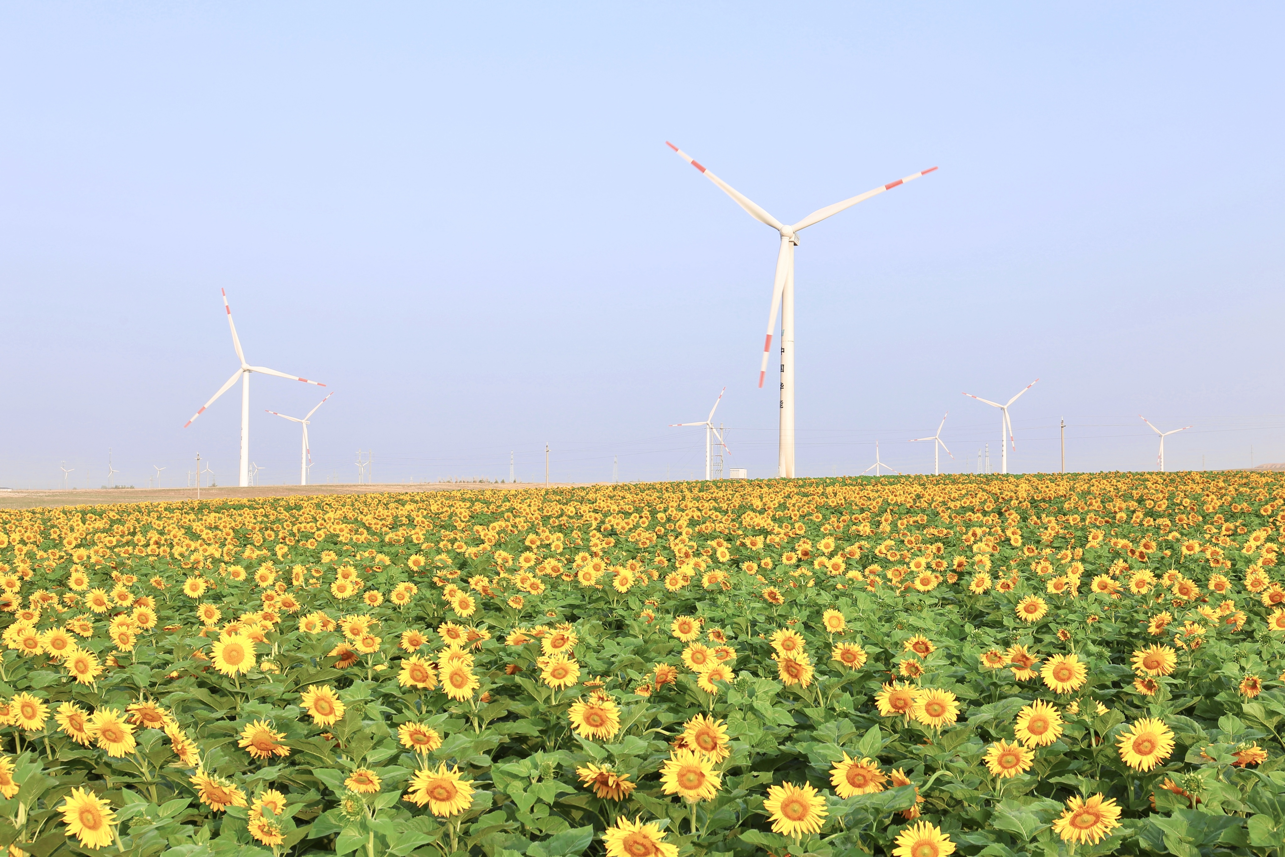 威尼斯9499登錄入口股份助力推動風電場控制技術(shù)國際研發(fā)項目順利實施