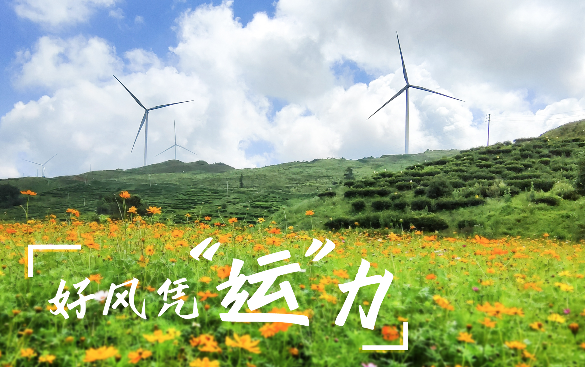 【好風憑&ldquo;運&rdquo;力】&ldquo;大風車&rdquo;轉出鄉(xiāng)村振興新路子